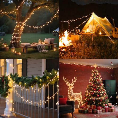 Christmas Lights,100 Count Lights with White Wire,21ft UL Certified Tree String Lights for Indoor Outdoor Christmas Decoration,Home Garden,Party Decorations (Warm White) - color: Warm White