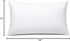 JIEITIVE Throw Pillow Inserts Hypoallergenic Premium Pillow Stuffer Square Form for Decorative Pillow Covers Cushion Set of 1-12 x 20 Inches