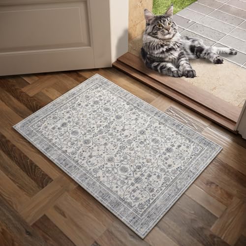 Machine Washable Entryway Small Area Rugs: Soft Non-Slip Low Pile Door Mat Indoor Entrance 2x3 ThrowRug for High-Traffic Areas Kitchen, Hallway, Farmhouse Decor - color: Beige/Grey/Multi, size: 2'x3'