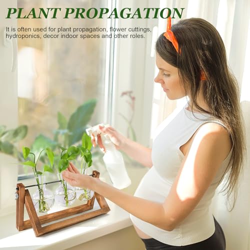 Renmxj Plant Propagation Stations with Wooden Stand & 3 Glass Bulb Vases - Plant Terrarium for Indoor Plants, Home Office Desk Decor, Gardening Gifts for Women Mom, Birthday Gifts for Plants Lovers - size: 3 Bulb Vase