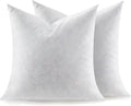 Feather Throw Pillow Inserts Set of 2, Soft Fluffy Square 22 x 22 Inches Decorative Pillow Insert, Feather and Down Filled Euro Pillows