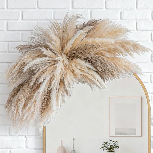 Fluffy Boho Wall Decor - DIY Pampas Grass Kits,Need to Assemble,Decorative Pampas Cloud,Mirror Decorative,for Entryway Bedroom Living Room Bathroom House Warming Gifts New Home Essential - size: Large