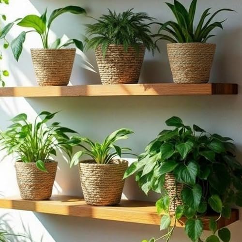 AceOrbit 12 Pcs Wicker Plant Basket Bulk with Liners Woven Planter Baskets Bulk for Indoor Outdoor Seagrass Plants Woven Wicker Baskets for Flower Pots Cover and Room Decor (Small,Rustic) - color: Rustic, size: Small
