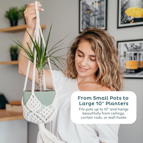 Nook Theory 4-Pack Macrame Plant Hangers with 8 Hooks - Hanging Planters for Indoor Plants, Boho Macrame Hangers Indoor Outdoor, Decorative Plant Hanger Indoor (Cream) - color: Cream