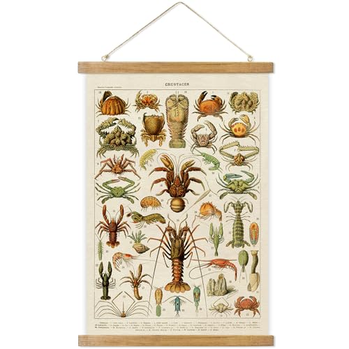 ABoby Vintage Hanging Posters, Decorative Crustaces Wall Art Prints, Printed on Linen with Wood Frames, Ready to Hang - color: Crustaces