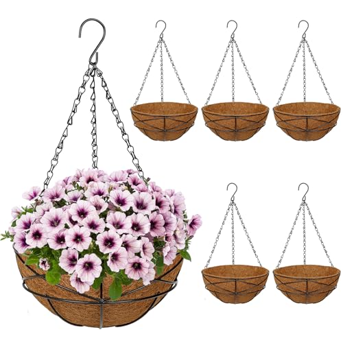 6 Pack 10 inch Metal Hanging Baskets for Plants Outdoor Metal Wire Hanging Basket Planter with Coco Fiber Liners Flower Pots for Home Porch Garden Patio, Diamond-Shaped - size: 10" x 6 Pack, style: Diamond