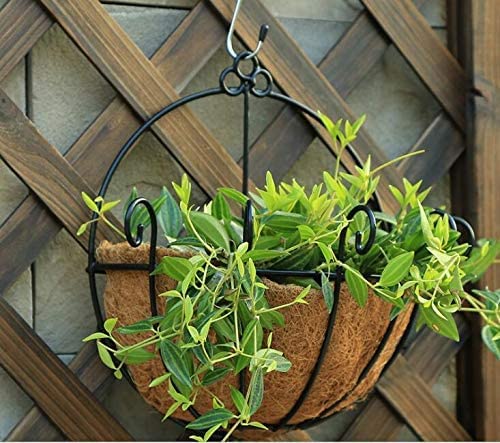 Pack of 2 pcs 16 Inch Half Round Coco Liners Hanging Basket 100% Natural Replacement Coconut Fiber Liner for Garden Flower Pot Vegetables Herbs - size: 16 Inch Half Round