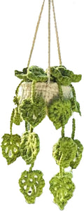 Crochet Hanging Plant for Car Mirror, Cute Accessories, Knitted Boho Hanger Basket (E)