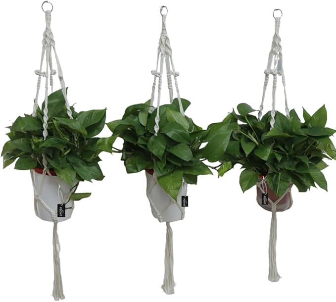 Macrame Plant Hangers Set of 3 – Handmade 39-Inch Indoor/Outdoor Hanging Planters in Ivory with Beads, Boho Home Decor for Pots up to 9 Inches (Pots Not Included)