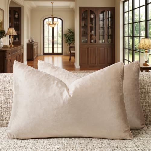 GIGIZAZA 12x20 Lumbar Pillow Covers: Pack of 2 Champagne Beige Throw Pillows Super Soft Velvet Covers - Decorative Vintage Rectangle Solid Elegant Cushion Covers Used for Couch,Living Room - color: Champagne, size: 20" x 12" (Pack of 2)