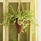 GBESTWOOW Artificial Spider Plant Hanging Vine Fake Greenery for Home Garden Office Wedding Decoreation 2pcs - size: 25 inch