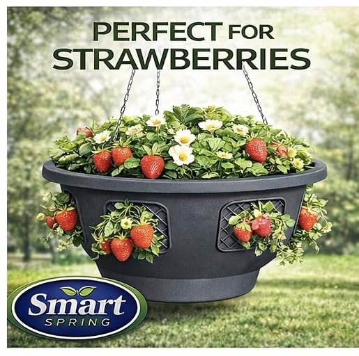 Ultimate Hanging Baskets - Strawberry, Tomato, Flower, and Herb Outdoor Planters - Use Garden Pots for Growing Plants Outside On A Deck, Fence, or Balcony (2) - color: Gray