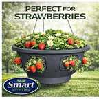 Ultimate Hanging Baskets - Strawberry, Tomato, Flower, and Herb Outdoor Planters - Use Garden Pots for Growing Plants Outside On A Deck, Fence, or Balcony (2) - color: Gray