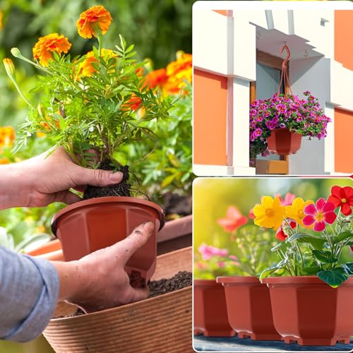Roshtia 24 Pcs Hanging Plastic Planter Pot with Hook Flower Pots Baskets Hanging Nursery Planter Holder for Outdoor Indoor Plant Garden(Brown,5 Inch) - color: Brown, size: 5 Inch