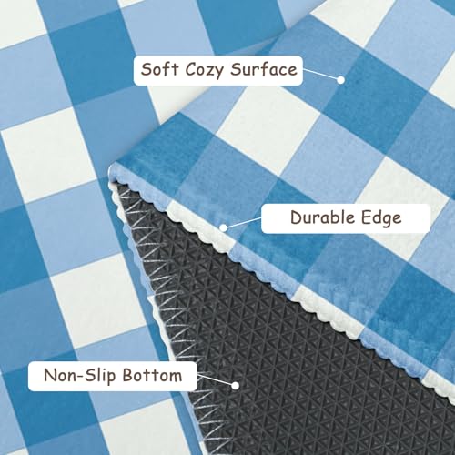 Blue and White Buffalo Plaid Area Rug 2x3 Summer Check Farmhouse Decorative Front Door Mat Small Non-Slip Low Pile Front Doormat Washable Throw Rugs for Living Room Bedroom Bathroom Kitchen - color: Buffalo Plaid Blue and White