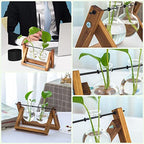 Kingbuy Glass Desktop Planter with Retro Wooden Stand, 2 Bulbs | Plant Terrarium Vase, Indoor Office Desk Decor, Accessories - size: 2 Bulb Vase