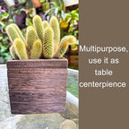 LaLaGreen Wood Planter Boxes for Indoor Plants (4x4 Inch, 6 Pack) Small Square Wall Mounted Planters Flower Pot, Herb Wooden Box Hanging Plant Holder Outdoor Balcony Vertical Garden Modern Home Decor - size: 4x4" x 6 pack