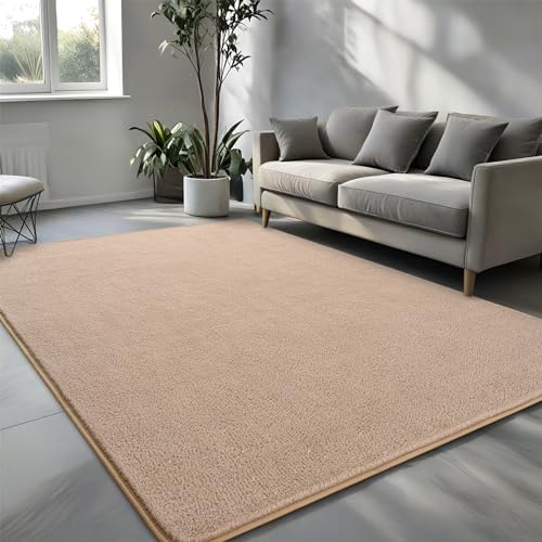 Pettop 4x6 ft Beige Area Rugs for Bedroom Living Room, Washable Memory Foam Indoor Carpet, Modern Aesthetic Minimalist Non Slip Soft Comfy Carpet for Boys Girls Dorm Home Decor - color: Beige, size: 4' X 6' (Rectangular)