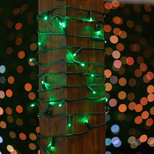 Novelty Lights 25ft 50 LED Green Christmas Lights Outdoor/Indoor, 6" Spacing, Green Wire String Lights for Festive Xmas Lighting, IP55, UL Listed, Dimmable, Connectable - color: Green