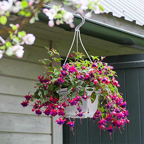 Roshtia 24 Pcs Hanging Plastic Planter Pot with Hook Flower Pots Baskets Hanging Nursery Planter Holder for Outdoor Indoor Plant Garden(Ceramic White,6.7 Inch) - color: Ceramic White, size: 6.7 Inch