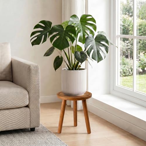 Wood Plant Stands Indoor, Teak Plant Stand Modern Plant Table for Large Plants, Wooden Plant Stool, Tall Plant Holder Small Round Side for Living Room, Balcony, Office (1 Pack) - color: Teak