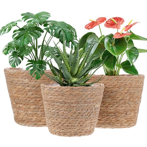 3 PCS Plant Baskets Indoor with Plastic Liner, Water Hyacinth Woven Planters Flower Basket, Planter Basket for Rustic Boho Home Farmhouse Floor Potted Pots Decor