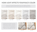 SAFAVIEH Hudson Shag Collection Accent Rug - 2' x 3', Grey & Beige, Modern Trellis Design, Non-Shedding & Easy Care, 2-inch Thick Ideal for High Traffic Areas in Foyer, Living Room, Bedroom (SGH281J) - color: Grey/Beige, size: 2' x 3' (Rectangular)