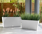 Veradek Midori Long Trough Planter (White, 31 inch - 2 Pack with 2 Saucer Trays) - color: White, size: 31 inch - 2 pack with saucers