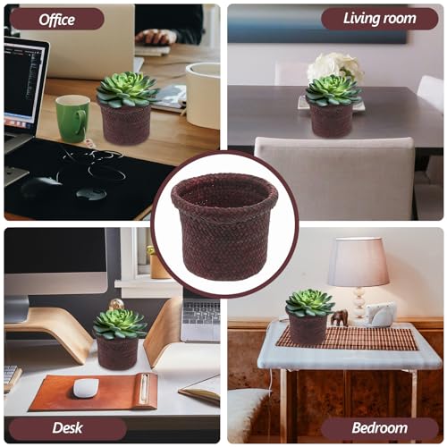 NUOBESTY Round Seagrass Planter Basket: 5.5x7.1" Woven Pots Cover Plant Pots Containers - Wicker Plant Basket Desktop Sundries Container - for