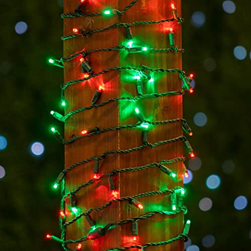 Novelty Lights 25ft 50 LED Red/Green Christmas Lights Outdoor/Indoor, 6" Spacing, Green Wire String Lights for Festive Xmas Lighting, IP55, UL Listed, Dimmable, Connectable - color: Red/Green
