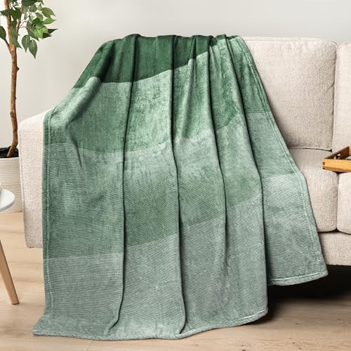PAVILIA Green Ombre Fleece Throw Blanket 50x60, Soft Lightweight Flannel Blanket for Couch Sofa Bed, Plush Emerald Gradient Microfiber Decorative Throw Gift - color: Gradient - Green, size: 50 x 60 Inches - Throw