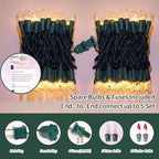 LAMPHOME 100 Count Clear Christmas Lights - 20 ft Ultra Bright White String Lights with Green Wire for Indoor and Outdoor Use, Christmas Trees, Holidays Party Patio Wedding and Garden - color: Clear