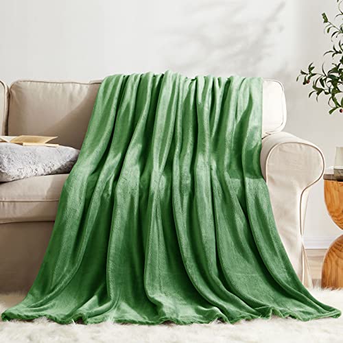 KMUSET Fleece Blanket Throw Size Emerald Lightweight Super Soft Cozy Luxury Bed Blanket Microfiber - color: Emerald, size: Throw(50"x60")