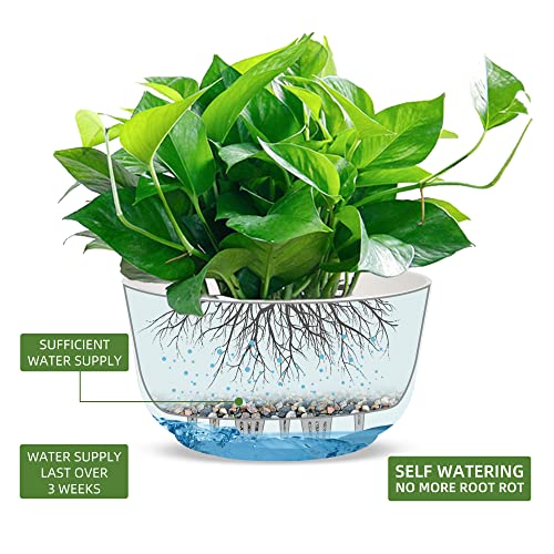 Dexceder 11.2 Inch Self Watering Hanging Planter (2 Pack, White) | Thickened Hanging Basket Flower Plant Pot Indoor Outdoor - color: White, size: 11.2 inch