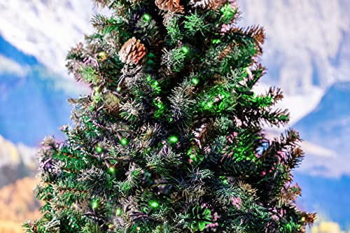 Novelty Lights 25ft 50 LED Green Christmas Lights Outdoor/Indoor, 6" Spacing, Green Wire String Lights for Festive Xmas Lighting, IP55, UL Listed, Dimmable, Connectable - color: Green