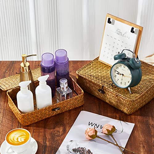 Didaey Set of 4 Seagrass Basket with Lid Wicker Storage Basket Decorative Storage Boxes with Lids Flat Storage Bins Woven Organizer Baskets for Shelf Closet Bedroom, 4 Sizes (Brown) - color: Brown
