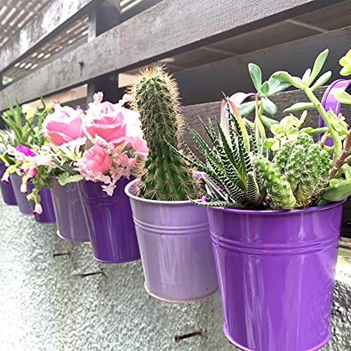 LaLaGreen Hanging Planter Outdoor - 10 Pack, 4 Inch Fence Planters Outdoor Purple Hanging Window Flower Bucket Metal Succulent Pots Balcony Railing Wall Garden Deck Porch Herb Plant Macetas Exterior - size: 4 Inch (Purple)