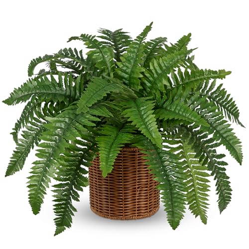 Hollyone Fake Fern Potted Plant Artificial Boston Ferns in Pot Woven Basket 35 Leaves Indoor Faux Fern Bush Plant 20inch for Patio Garden Farmhouse Windowsill Office Living Room Home Decor - size: Woven Pot - Long Fern