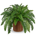 Hollyone Fake Fern Potted Plant Artificial Boston Ferns in Pot Woven Basket 35 Leaves Indoor Faux Fern Bush Plant 20inch for Patio Garden Farmhouse Windowsill Office Living Room Home Decor - size: Woven Pot - Long Fern