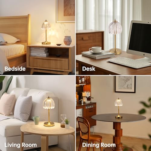 Shenmoyl Tulip Table Lamp with 5000mAh Battery & Touch Control, Cordless Table Lamp with 3 Colors, Dimmable Rechargeable Table Lamps for Bedroom, Nightstand, Living Room, Entryways (Transparent Tulip) - color: Transparent Tulip, size: 1 Pack