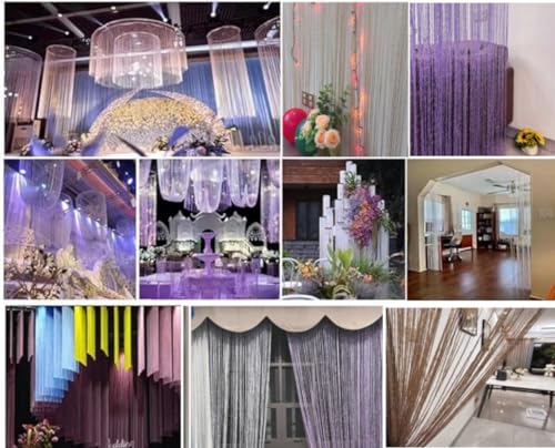 ave split Decorative Door String Curtain Wall Panel Fringe Window Room Divider Blind Divider Tassel Screen Home 100x200centimeter (Champagne18) - color: Champagne