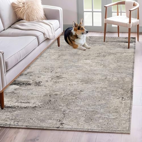 Vintage Grey Mottled Rectangle Area Rug 2.7'x5' Distressed Rough Surface Wall Texture Washable Rugs for Living Room, Non Slip Soft Carpet for Bedroom Entryway Dining Room - size: 2'8" x 5' (Rectangular)