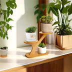 2 Tiered Desk Plant Stand Bamboo Tree Plant Shelf Tabletop Succulent Herb Stand Desktop Plant Stand Indoor Plant Rack for in Living Room Office Decoration (2 Tiered) - size: 2 Tiered