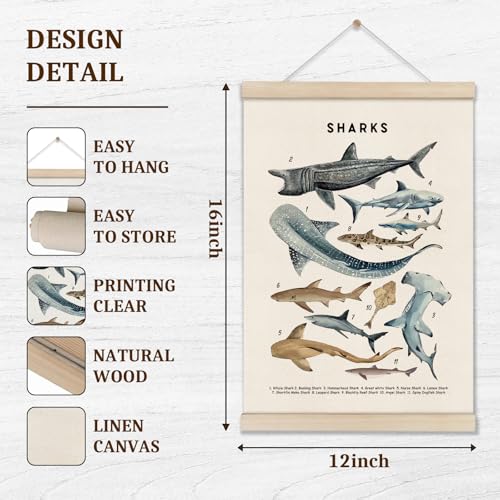 DOI-LANEE Shark Poster Hanger Frame, Set of 2 Shark Canvas Wall Art 16x12 Inch, Kids Educational & Learning Posters, Ocean Room, Sea Animal Decor for Playroom Classroom, Ocean Animals Wall Decor - color: Off-White04