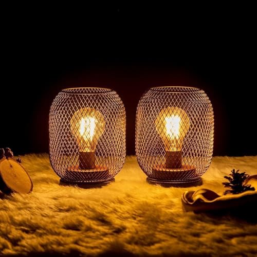 Set of 2 Battery Operated Lamp LED Table Lantern, Brown Metal Cage Cordless Lamps with LED Bulb，Vintage Decorative Outdoor Lantern for Weddings, Parties, Patio, Events for Indoors Shelf Decor - style: Bronze Oval / Timer