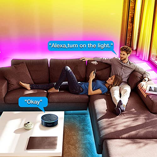 DAYBETTER Smart WiFi Led Lights, Tuya App Controlled, Compatible with Alexa and Google Assistant, Timer Schedule, RGB Strip Color Changing Décor for Bedroom Party Kitchen, 200ft - size: 200FT