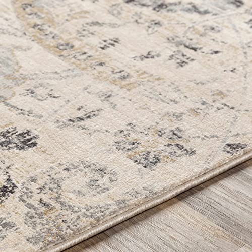 Hauteloom Obsidian Rustic Farmhouse Living Room Bedroom Dining Room Area Rug - Turkish Style - Traditional Floral Look - Bluish Medium Grey, Beige, Light Brown, Cream, Black - 4'3" x 5'7" - color: Beige, Black, Charcoal / Sunnyside, size: 4'2" x 5'7" (Rec
