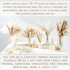 70PCS Natural Dried Pampas Grass Boho Home Decor Bouquet Phragmites Dried Flowers Bouquet for Wedding Floral Arrangements Living Room Decorations (70PCS) - size: 70 Pcs
