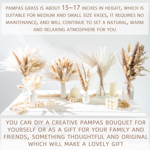 220PCS Natural Dried Pampas Grass Boho Home Decor Bouquet Phragmites Dried Flowers Bouquet for Wedding Floral Arrangements Home Decorations (220PCS) - size: 220 Pcs