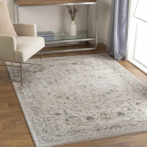 Hauteloom Claridge Living Room, Bedroom Area Rug - Medallion Floral Border Distressed Faded - Traditional Oriental Transitional Oushak Turkish - Gray, Taupe, Beige, Cream, Brown - 2' x 2'11" - color: Gray, Taupe, Beige / Laughlin, size: 1'11" x 2'11" (Rec